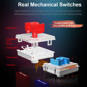 2.4GHz Wireless Slim Tri-Color Mechanical Keyboard LED Backlight MX Switches