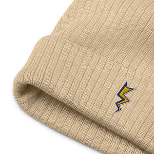 Beige Dubsnatch Fam Thunderbolt Beanie Flat