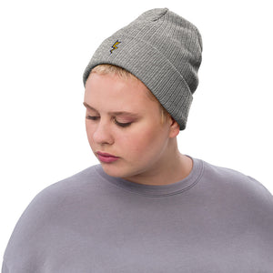 Gray Dubsnatch Fam Thunderbolt Beanie Woman