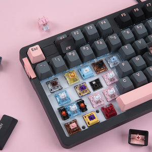 Tri-Color Mechanical Keyboard Hotswap RGB Backlight Removable Keys