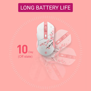 2.4Ghz Wireless Mouse Micro Switch RGB 10000 DPI Long Battery Life