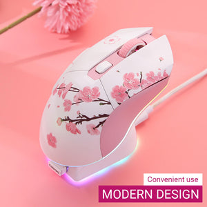 2.4Ghz Wireless Mouse Micro Switch RGB 10000 DPI Modern Design