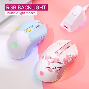 2.4Ghz Wireless Mouse Micro Switch RGB Backlight 10000 DPI
