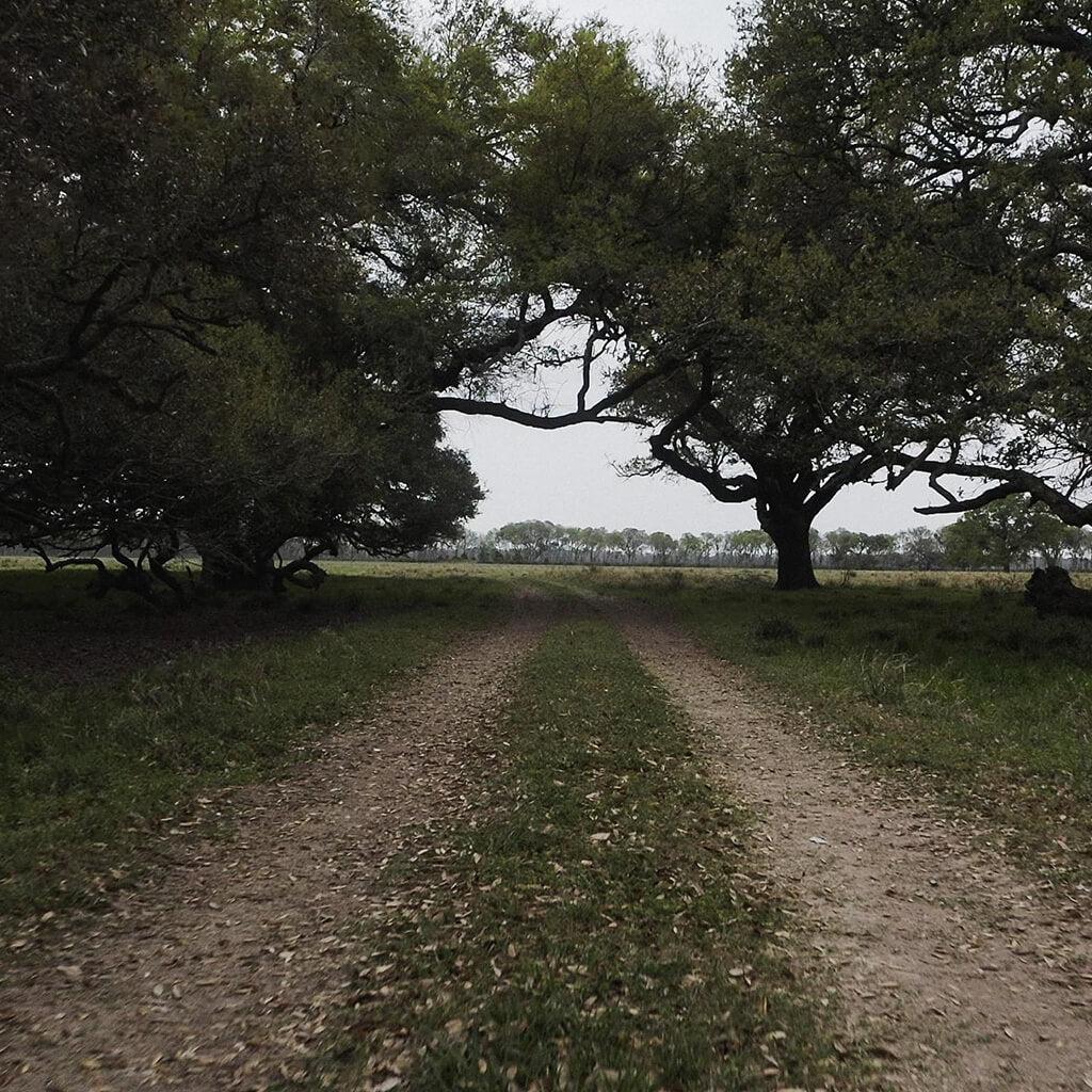 A picture from Glassroots Carbon