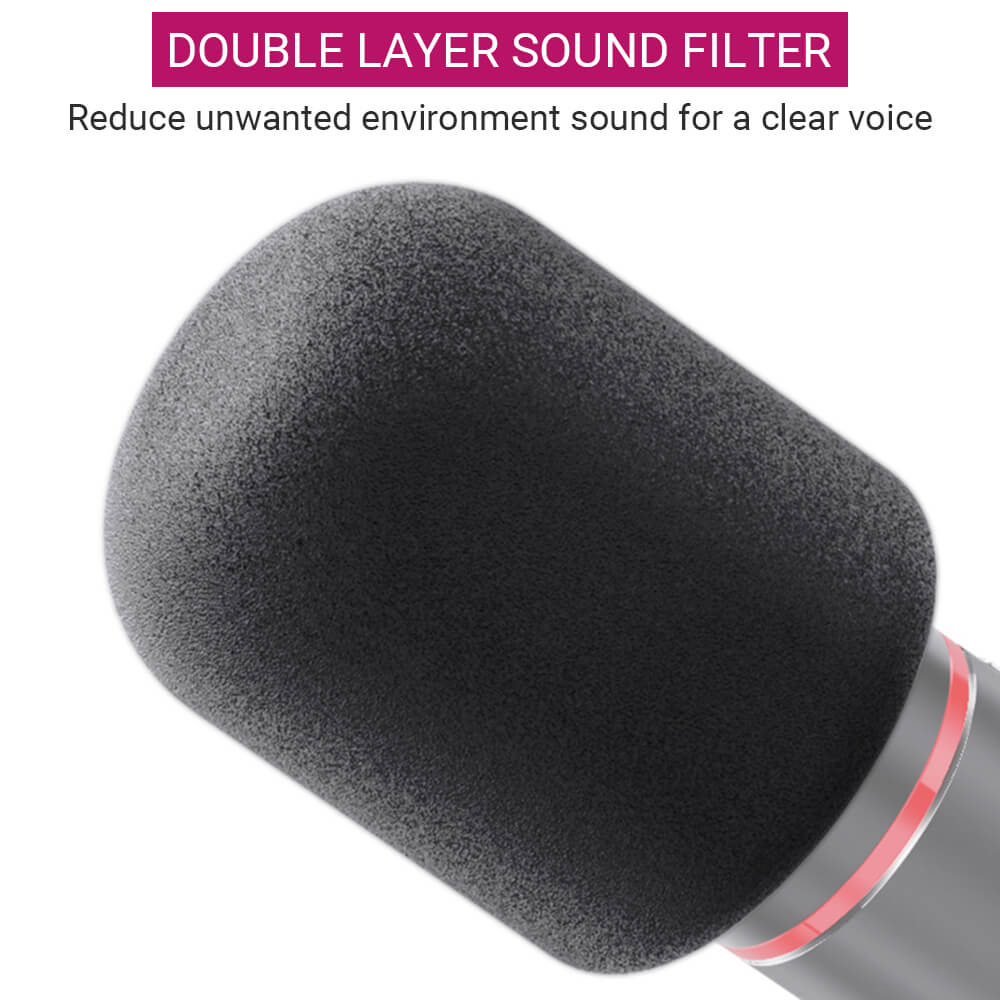 Metal Black Cardioid Microphone Tripod Shock Mount USB Double Layer Sound Filter