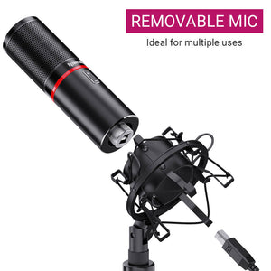 Metal Black Cardioid Microphone Tripod Shock Mount USB Removable Mic