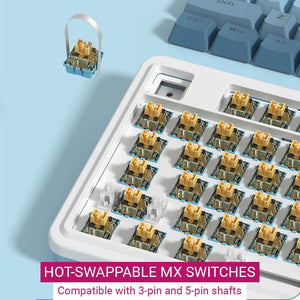 RGB Slim Gradient Color Mechanical Keyboard USB Gasket Structure Hot-Swappable MX Switches
