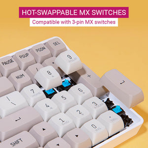 2.4GHz Wireless Cozy Double Color Mechanical Keyboard Gasket Structure Hot-Swappable MX Switches