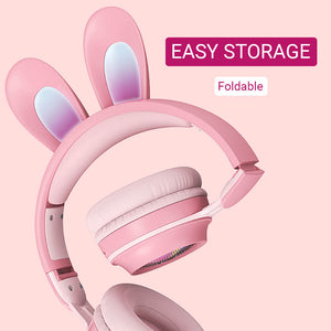 Cute Rabbit Ear Headset Wireless Microphone RGB Storage