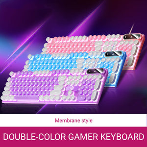 Double Color Gamer Keyboard Backlight Membrane Picture