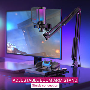Gradient RGB Cardioid Microphone Pop Filter Adjustable Boom Arm Stand