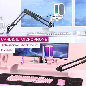 Gradient RGB Cardioid Microphone Pop Filter Arm Stand Anti-Vibration Shock Mount