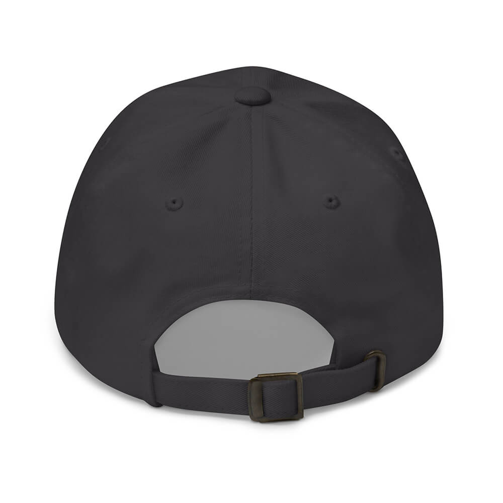 Gray Dubsnatch Fam Lightning Cap Back
