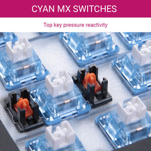 Tri-Color Mechanical Keyboard Hotswap RGB Backlight Cyan MX Switches