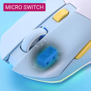 2.4Ghz Wireless Mouse Micro Switch RGB 10000 DPI Keystrokes